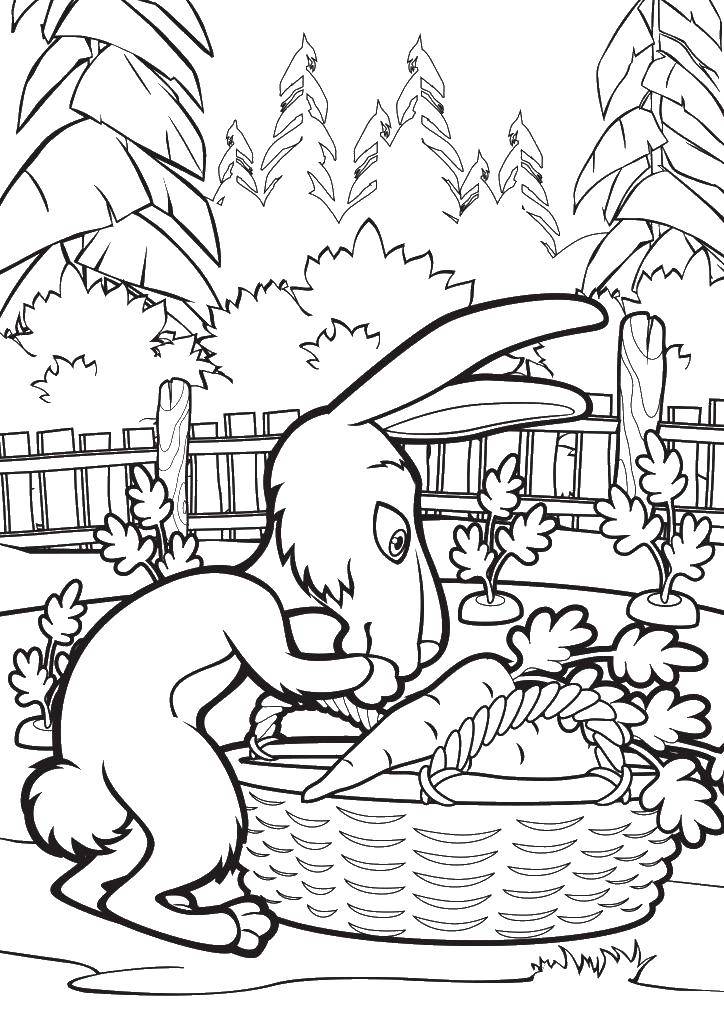 Coloring Rabbit. Category Masha and the bear. Tags:  cartoon rabbit.