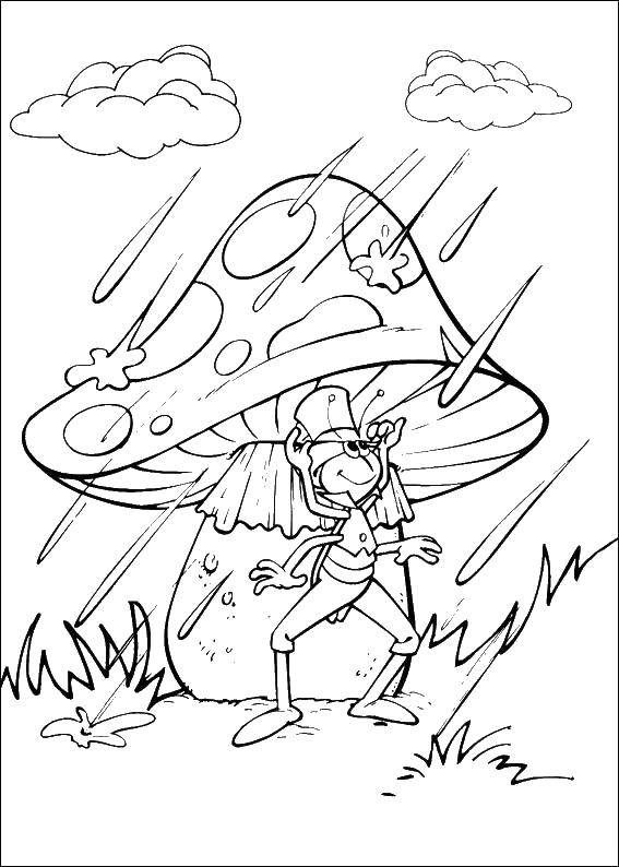 Название: Раскраска Кузнечик под грибочком во время дождя. Категория: осень. Теги: осень, гриб, кузнечик, дождь.