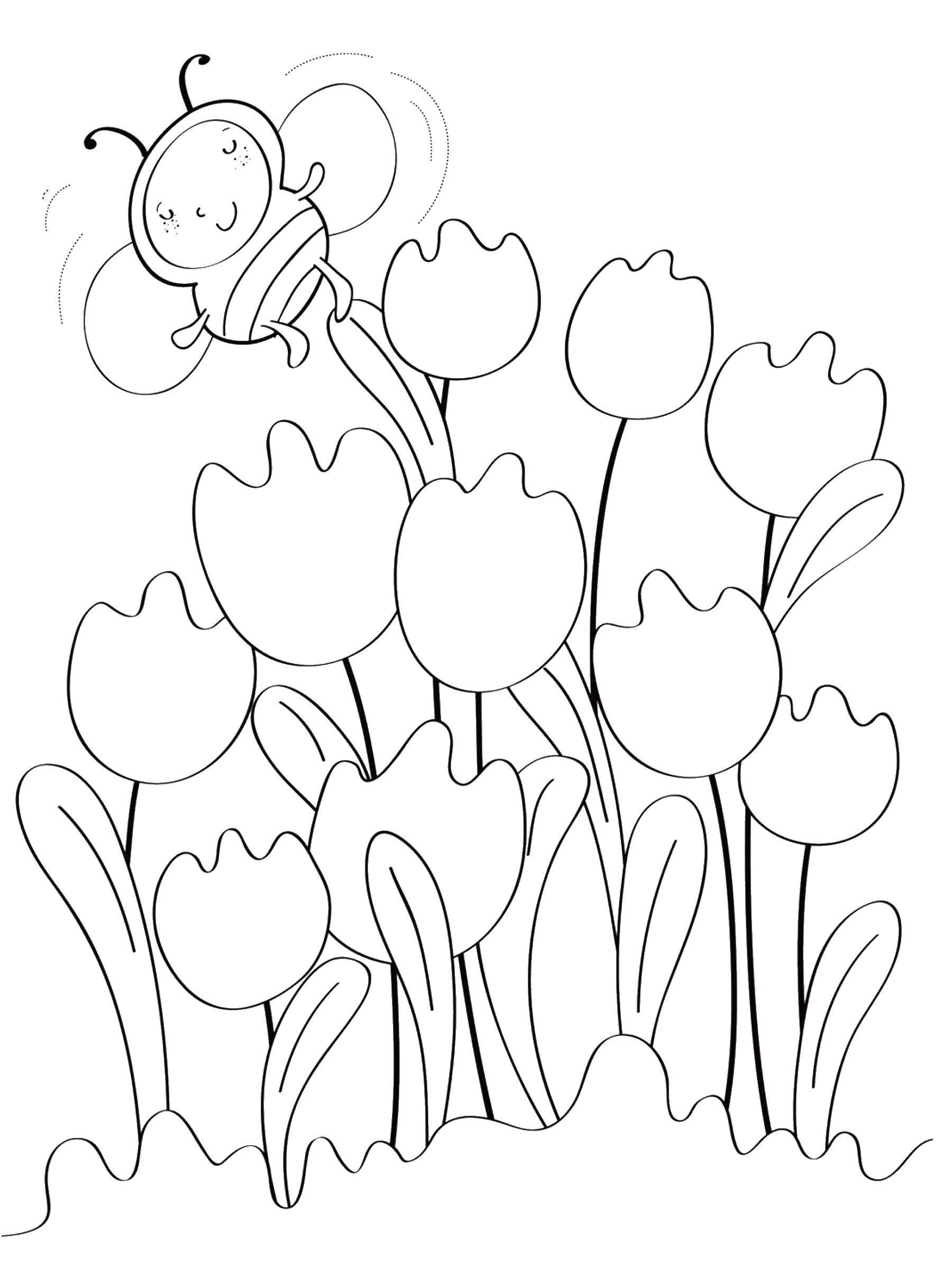 Coloring Bee of tulips. Category flowers. Tags:  flowers, bee.