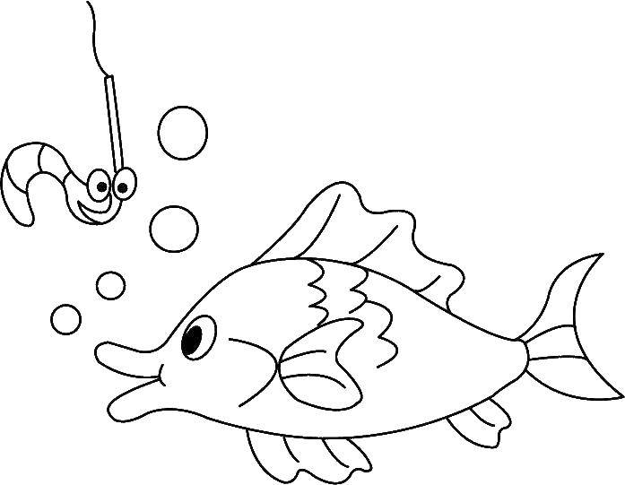 Название: Раскраска Рыбка хочет червячка. Категория: рыбы. Теги: Подводный мир, рыба.