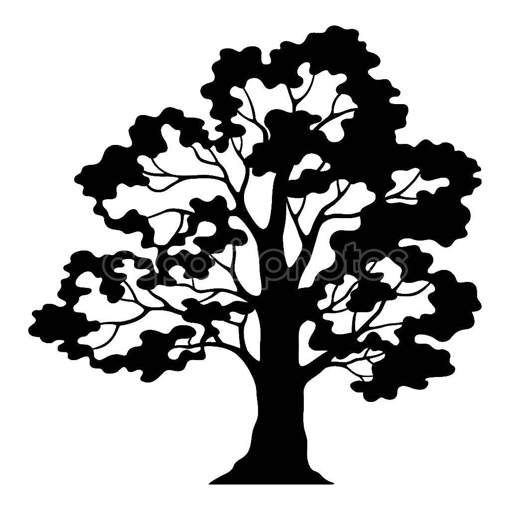 Название: Раскраска Контур дерева. Категория: контуры деревьев. Теги: контуры, дерево.