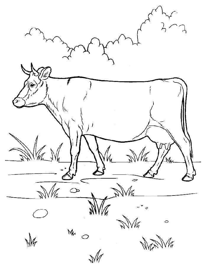 Coloring Figure cow. Category Pets allowed. Tags:  cow.