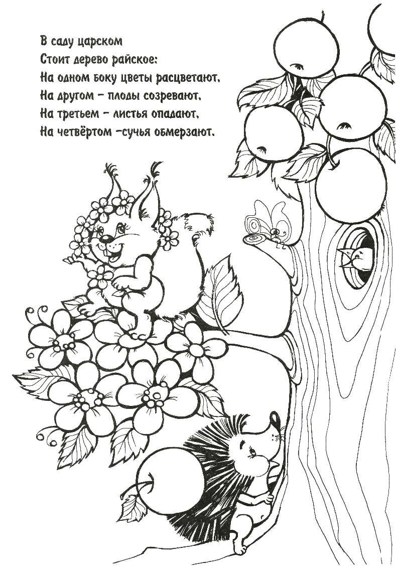 Coloring Paradise tree. Category puzzles , coloring pages. Tags:  riddle, riddles.