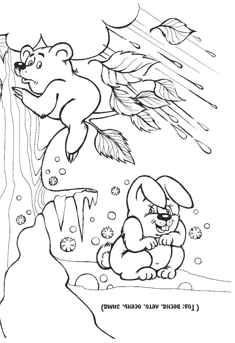 Coloring Times of the year.. Category puzzles , coloring pages. Tags:  riddle, riddles.