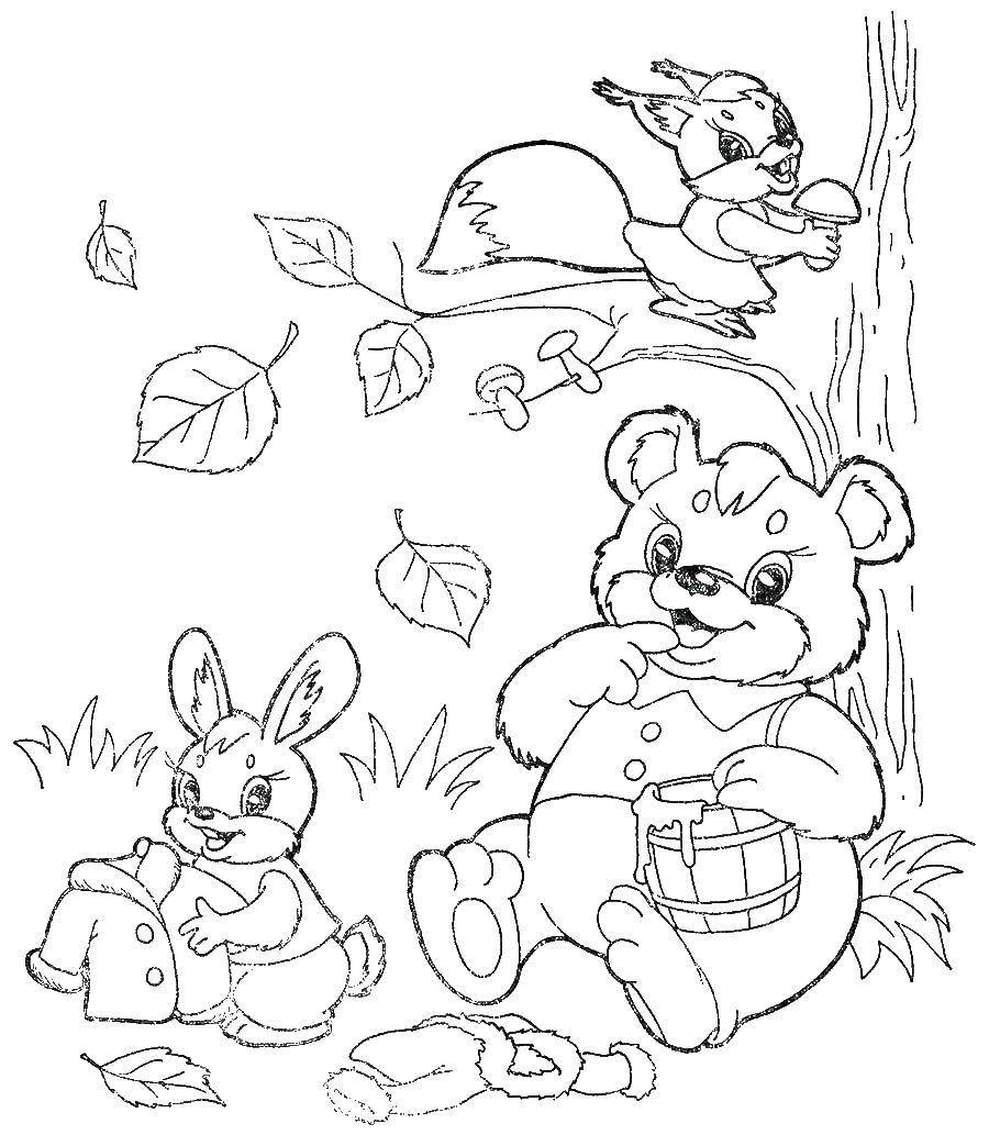 Coloring Forest animals. Category Animals. Tags:  Forest, animals, bear, Bunny, squirrel, honey.
