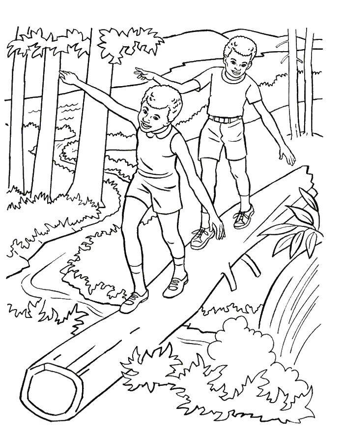 Coloring Children playing in the woods. Category the forest. Tags:  children, forest.