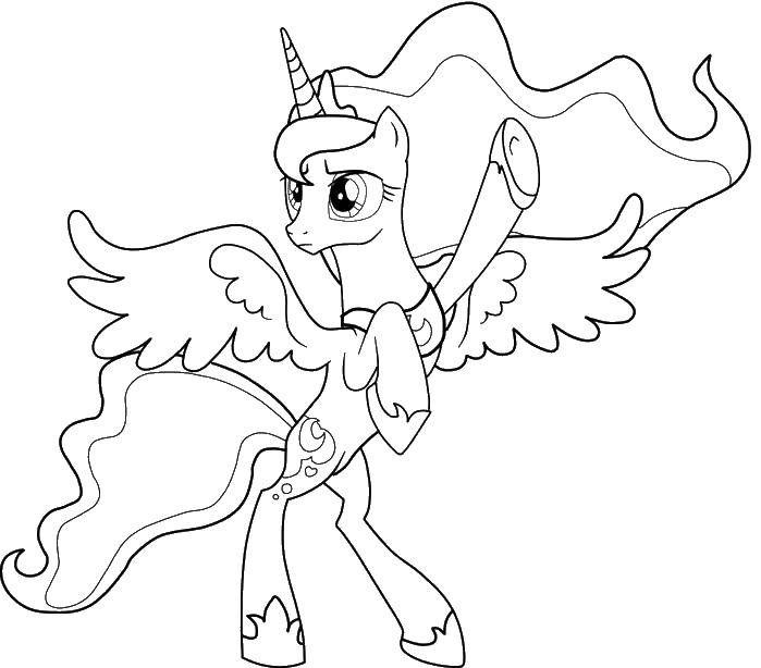 Coloring Winged unicorn pony. Category Ponies. Tags:  pony, unicorn, wings.