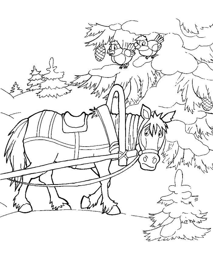 Coloring Horse. Category Animals. Tags:  horse.