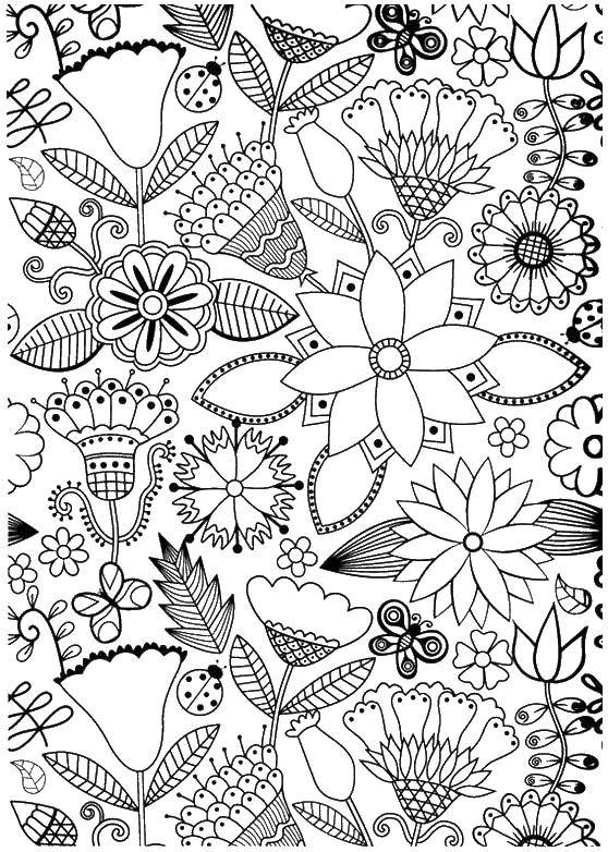 Coloring Cool flowers. Category coloring antistress. Tags:  Bathroom with shower.