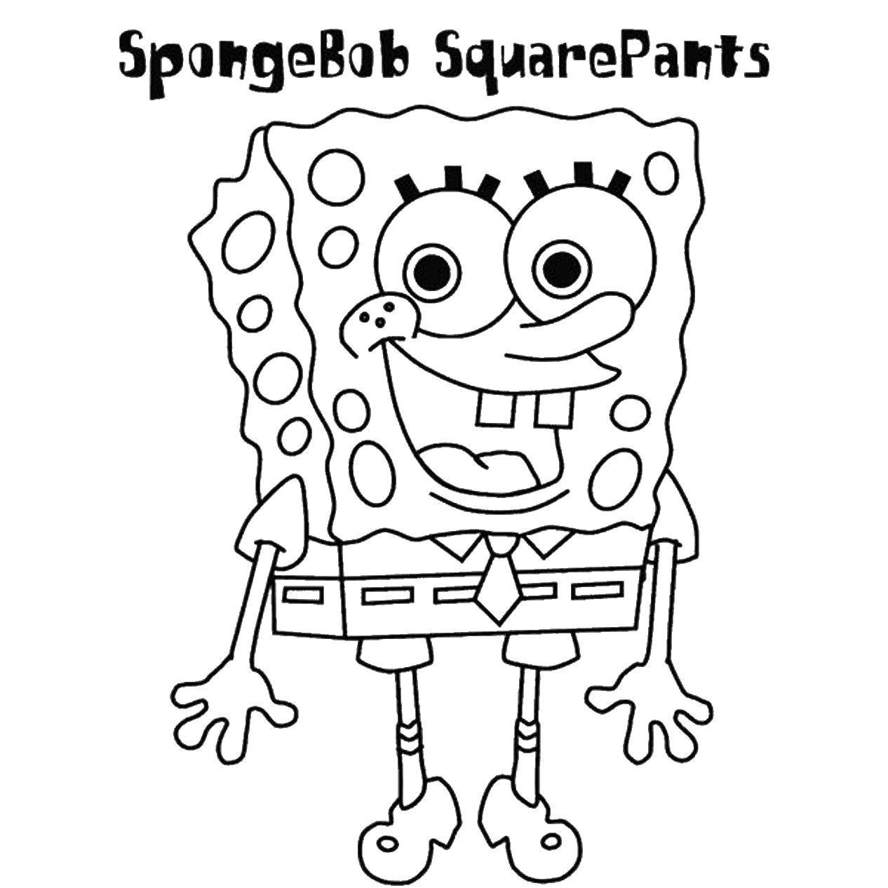 Раскраски из мультфильма Губка Боб Квадратные штаны (Sponge Bob Squarepants)