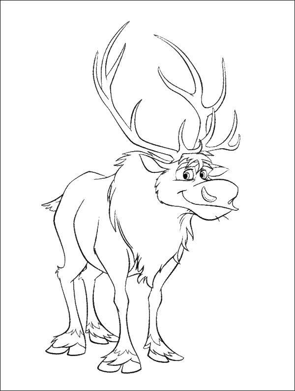 Coloring Moose. Category Animals. Tags:  animals, elk, horns.