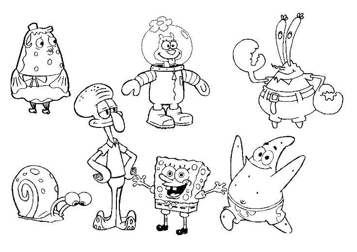 Coloring Cartoon characters spongebob. Category Spongebob. Tags:  cartoon, spongebob.