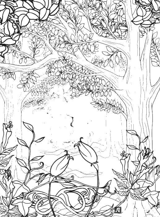 Coloring Flowers in the forest. Category the forest. Tags:  forest, flowers.