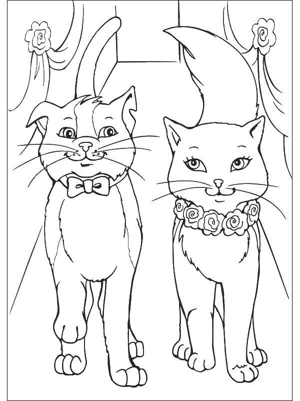 Название: Раскраска Кошечки. Категория: Кошка. Теги: животные, кошка, кошки.