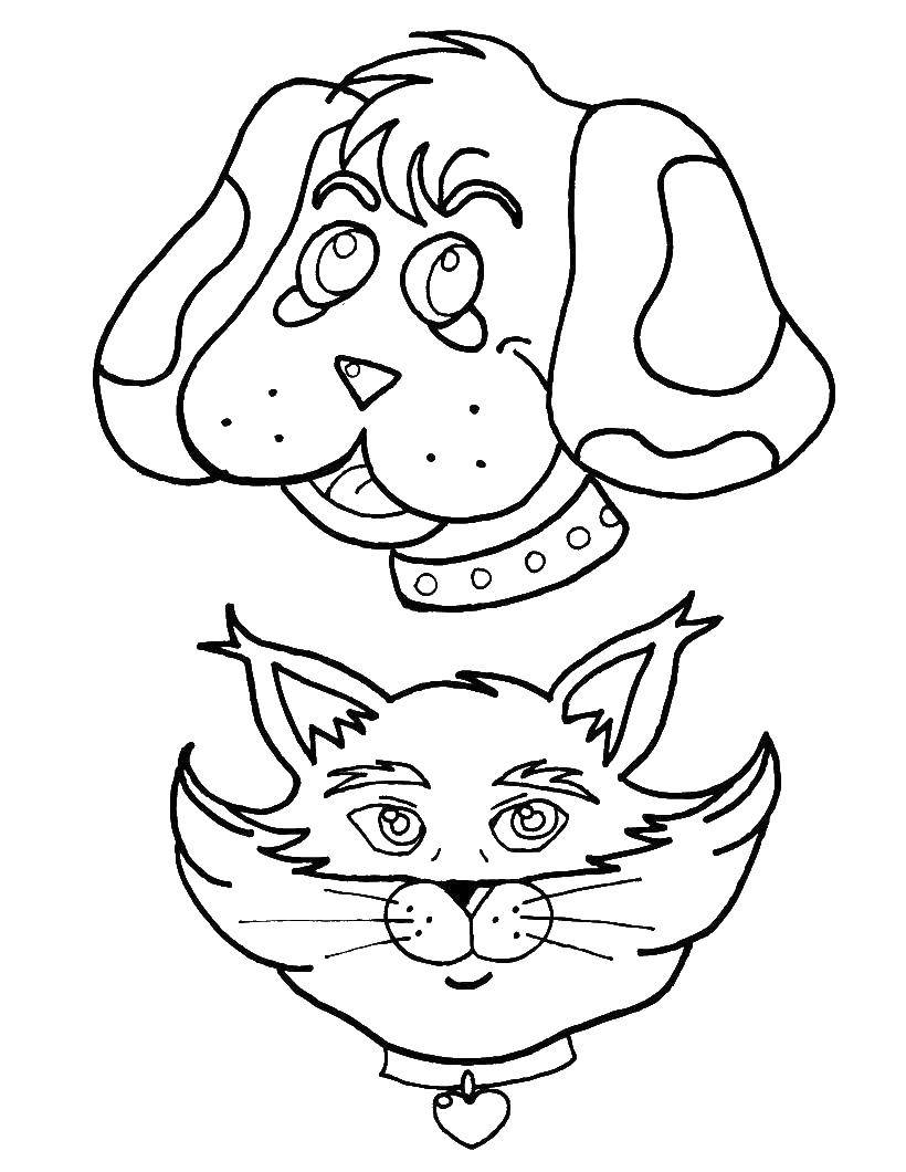 Название: Раскраска Портреты собаки и котика. Категория: Животные. Теги: животные, собачка, кошка.