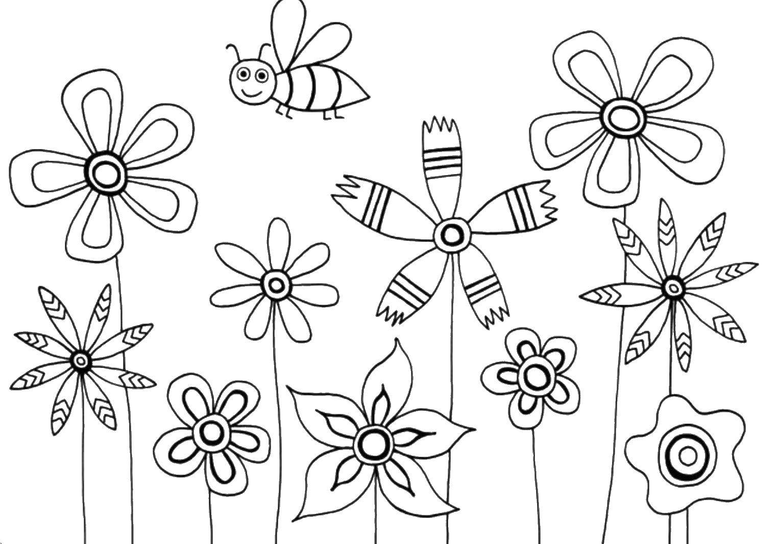 Coloring Different colors and butterfly. Category Flowers. Tags:  flowers, butterfly, flowers.