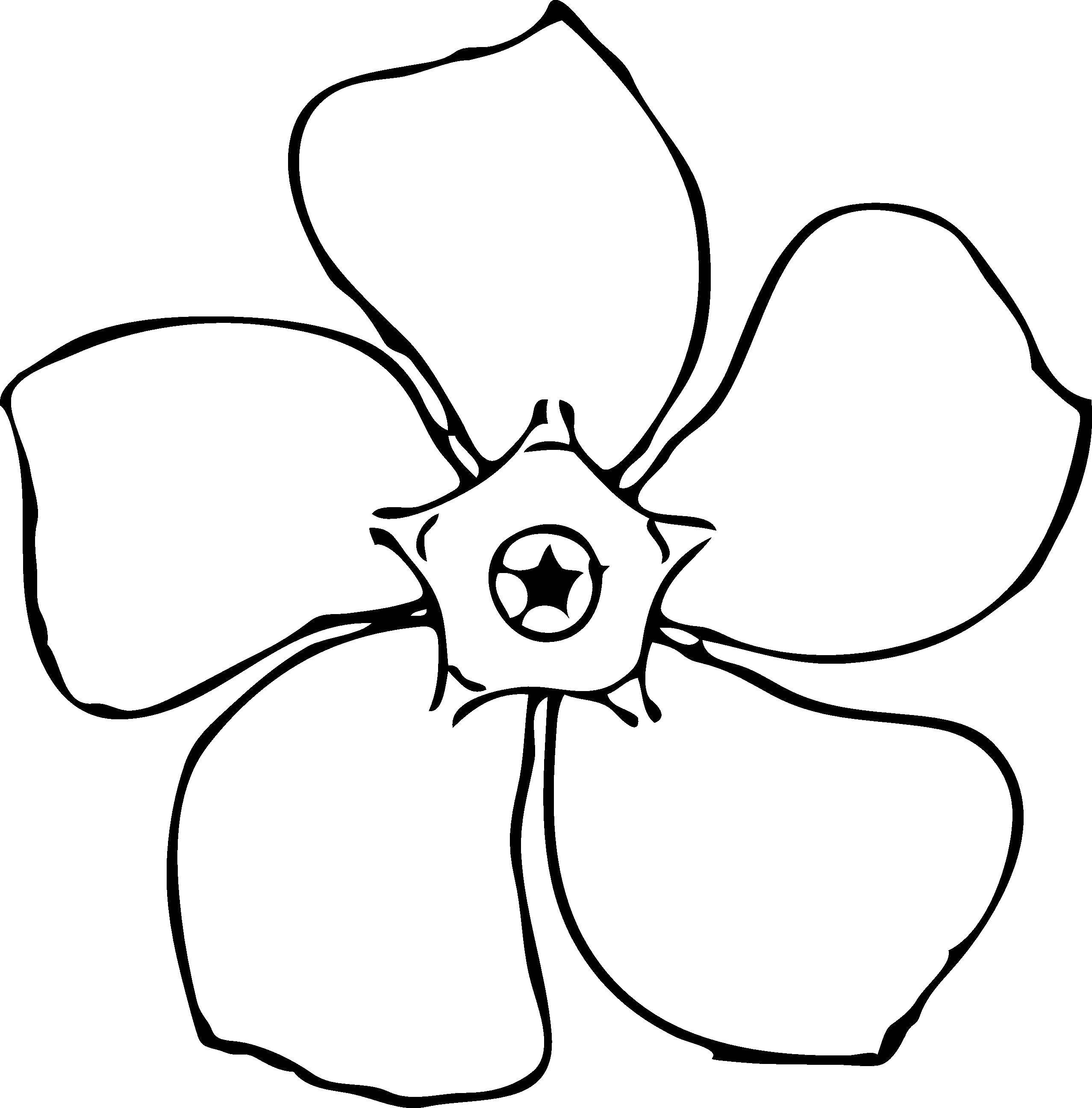 Coloring Flower, asterisk. Category Flowers. Tags:  flowers, star.