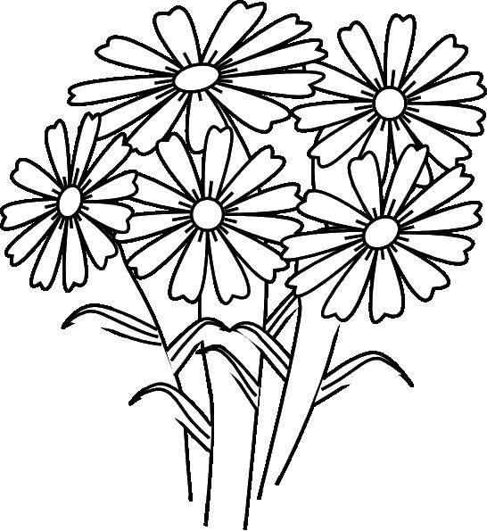 Coloring Flowers. Category Flowers. Tags:  flowers, plants, buds.