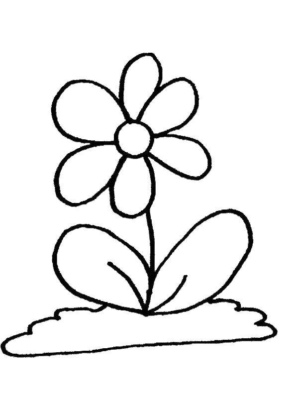 Coloring Flower. Category Flowers. Tags:  plants, plant, flower.