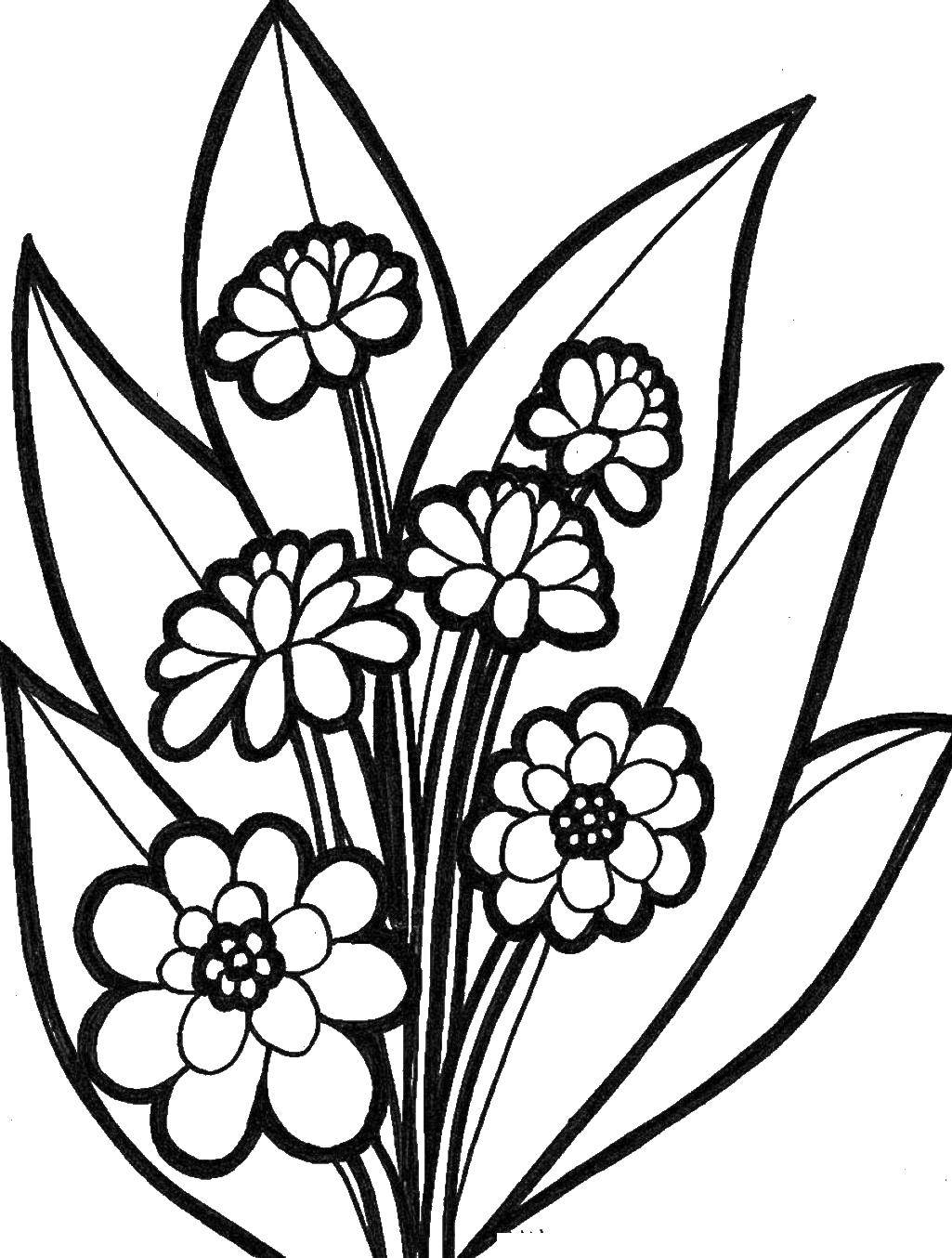 Coloring Flowers, leaves. Category Flowers. Tags:  flowers, bouquet, flowers, leaves.