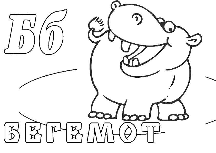 Coloring Hippo. Category zoo. Tags:  Hippo.