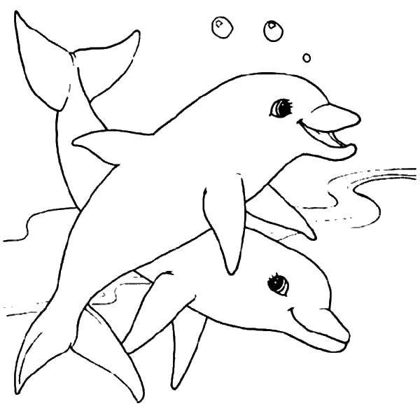 Coloring Two dolphins. Category animals. Tags:  animals, dolphins, water.