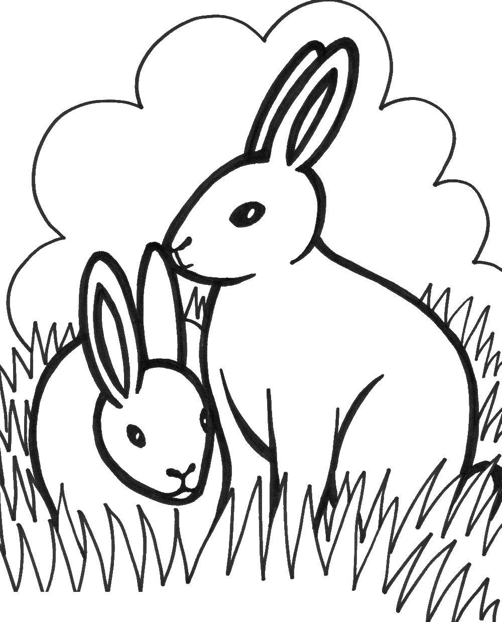 Название: Раскраска Два кролика в траве. Категория: животные. Теги: животные, кролики.