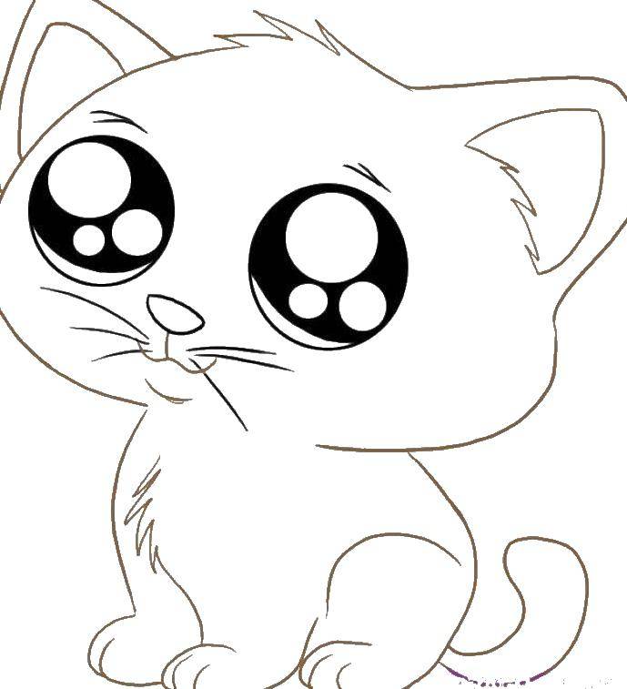 Название: Раскраска Кошечка с милыми глазсками. Категория: животные. Теги: животные, кошка.