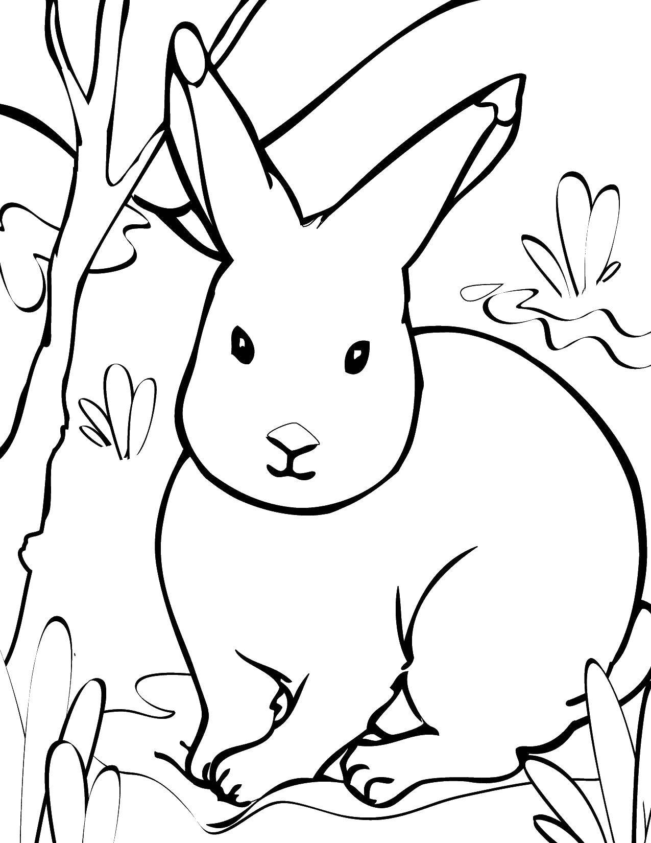 Название: Раскраска Кролик в лесу. Категория: животные. Теги: животные, лес, кролик.