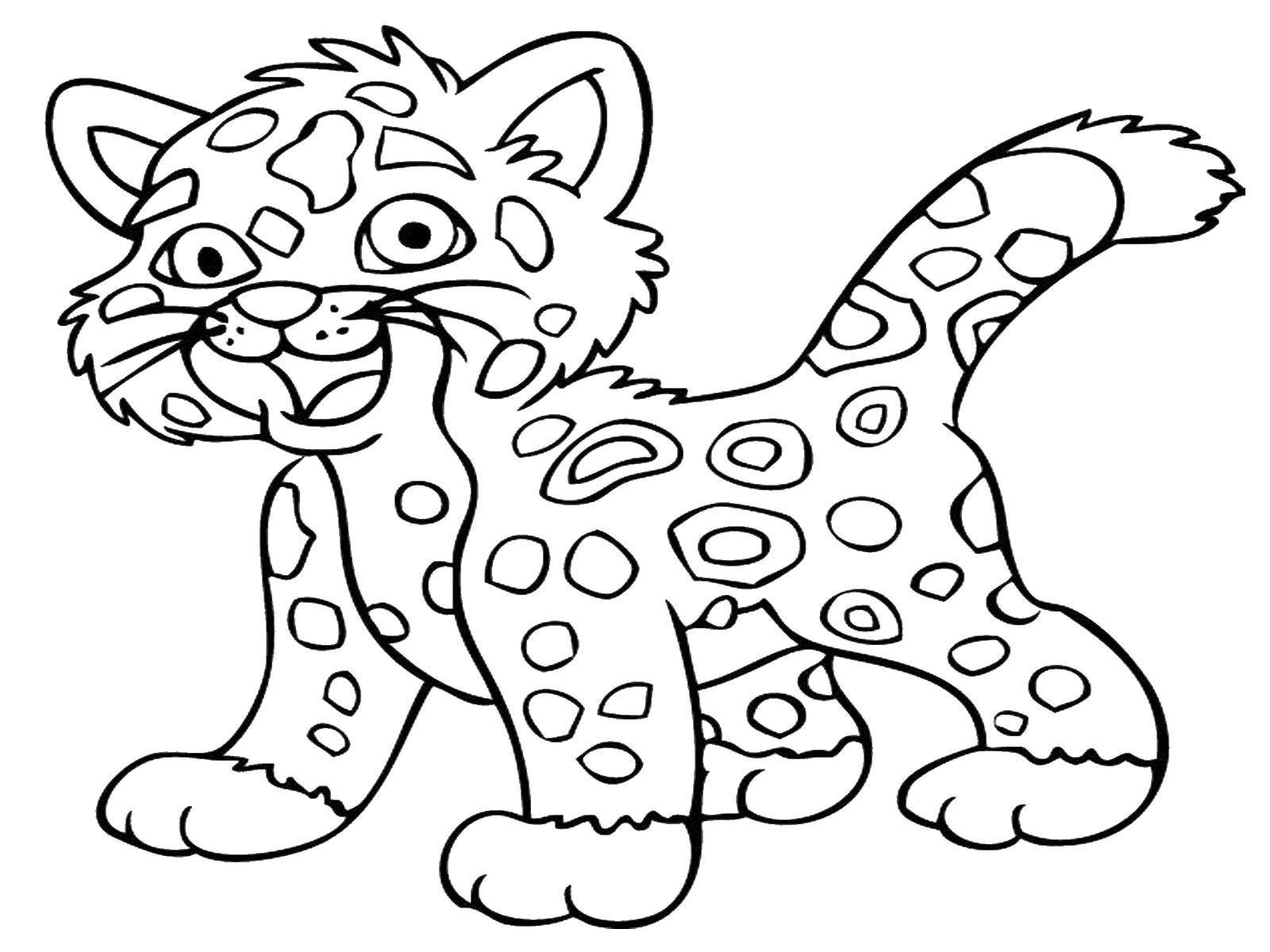 Название: Раскраска Малютка леопард. Категория: животные. Теги: животные, леопард.