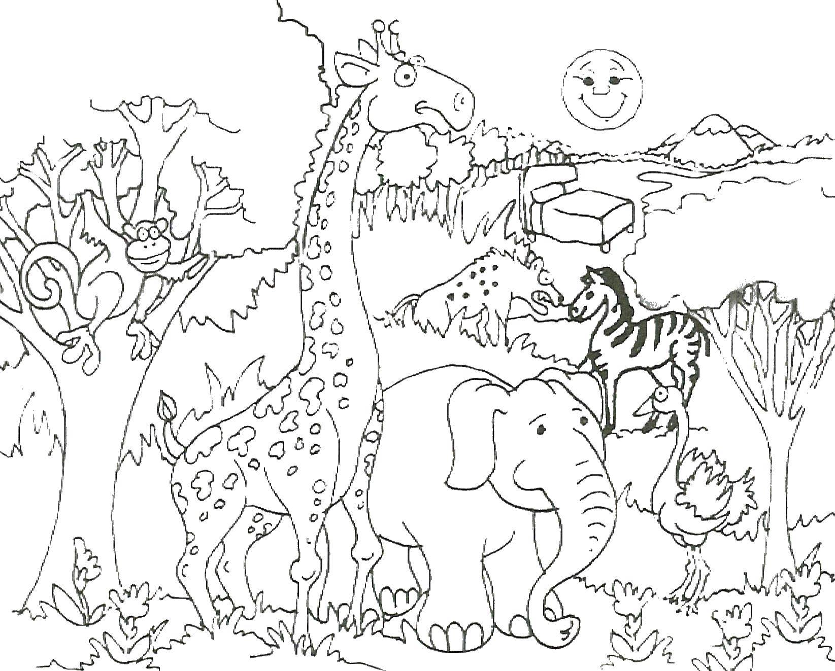Название: Раскраска Слон, жираф, страус, обезьяна, зебра. Категория: животные. Теги: слон, жираф, страус, обезьяна, зебра.