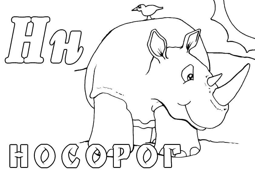Название: Раскраска Носорог. Категория: зоопарк. Теги: Носорог.