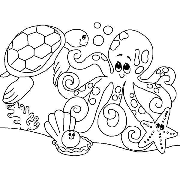 Название: Раскраска Осьминог, черепашка, морская звезда и жемчужина. Категория: морские животные. Теги: осьминог, черепашка, морская звезда, жемчужина.