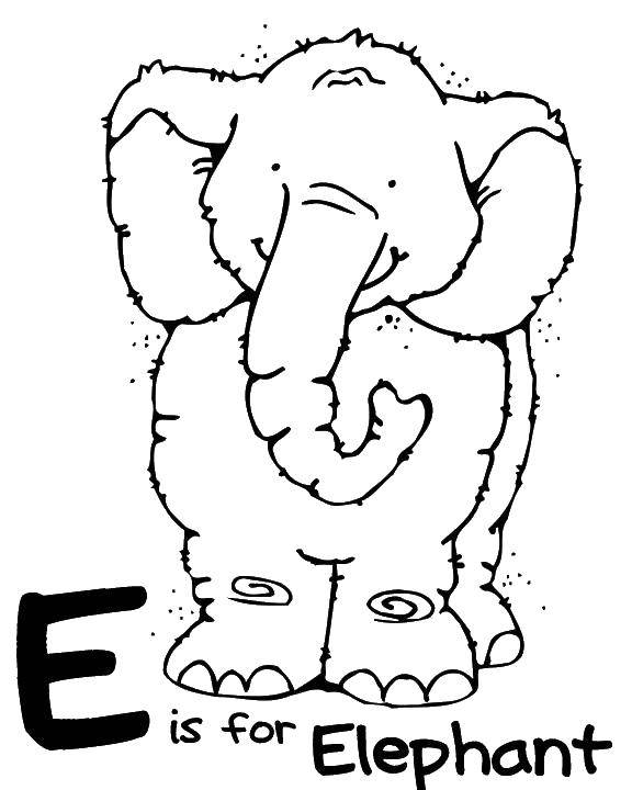 Название: Раскраска С значит слон. Категория: животные. Теги: животные, слон.