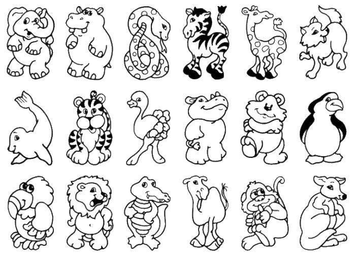 Coloring The whole zoo. Category animals. Tags:  zoo, animals.