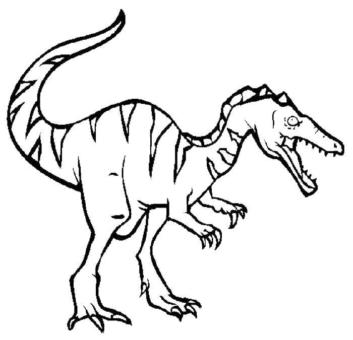 Название: Раскраска Динозавр. Категория: Для мальчиков. Теги: для мальчиков, динозавр.