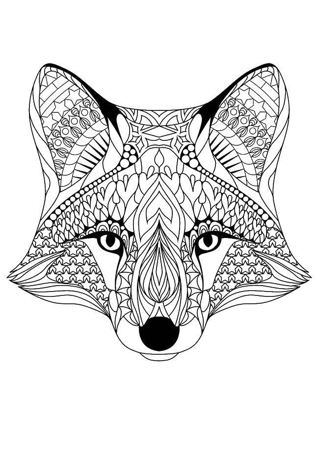 Coloring Fox. Category the Fox. Tags:  foxy, Fox, patterns.