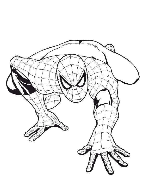 Coloring Spider-man. Category for boys . Tags:  for boys, Spiderman, Spiderman, cartoons.