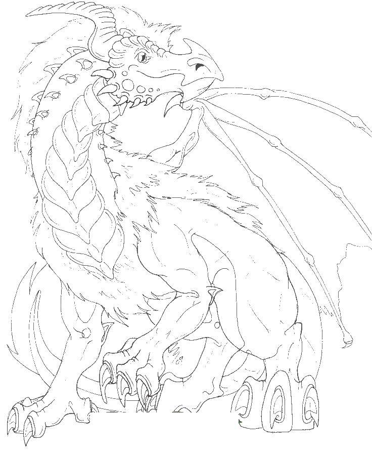 Coloring Dragon. Category Dragons. Tags:  dragon, wings, fangs.