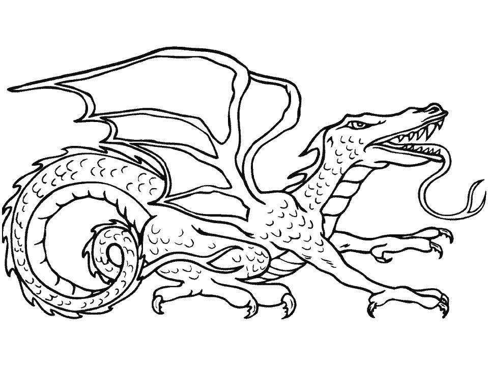 Coloring Clawed dragon. Category Dragons. Tags:  Dragons.