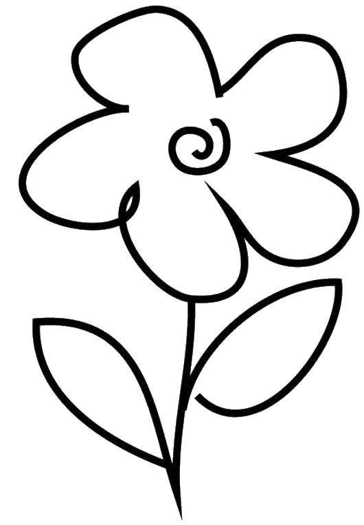 Название: Раскраска Нарисованный цветок. Категория: Цветы. Теги: цветок, лепестки.