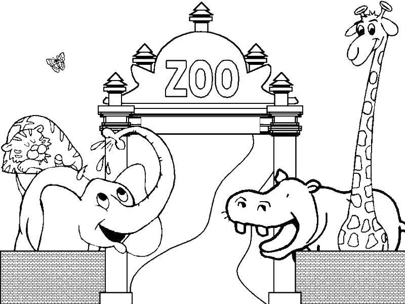 Coloring Elephant, tiger, Hippo and giraffe at the zoo. Category zoo. Tags:  Animals in the zoo.