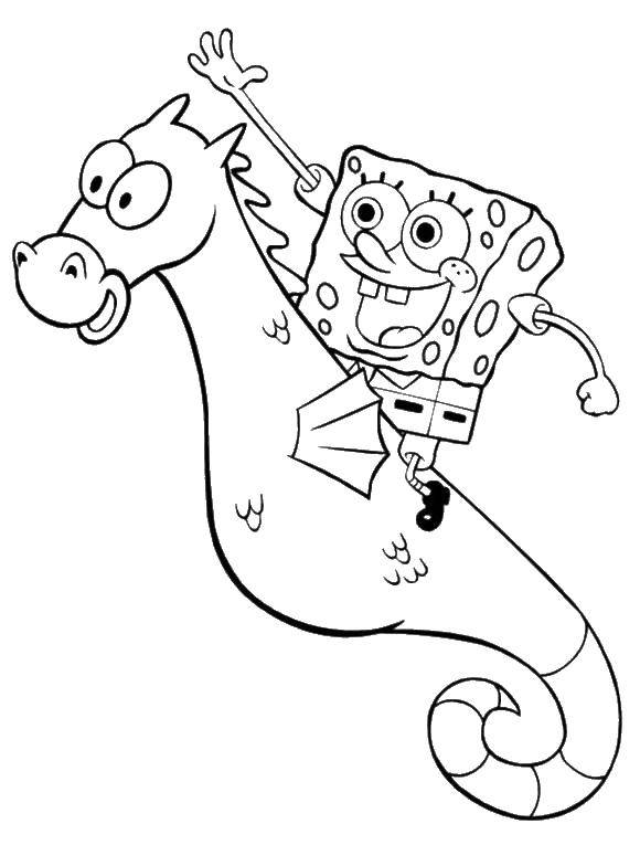 Coloring Spongebob sea horse. Category Spongebob. Tags:  the spongebob, sea horse.