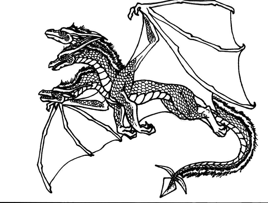 Coloring Three-headed dragon. Category Dragons. Tags:  Dragons.