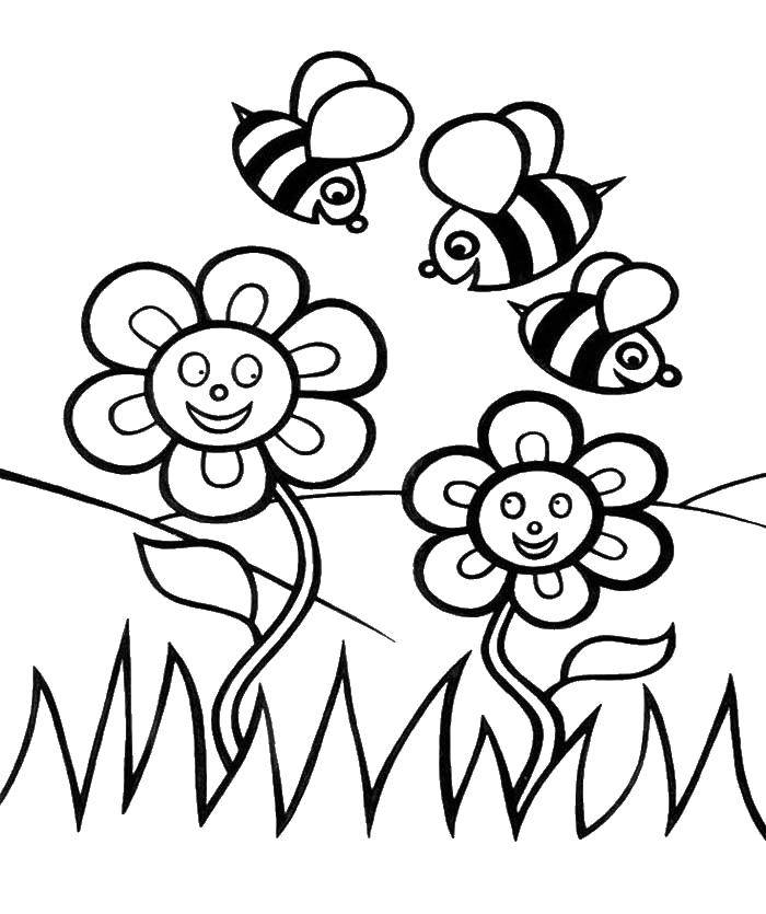 Название: Раскраска Цветочки рады пчёлкам. Категория: Цветы. Теги: Цветы.