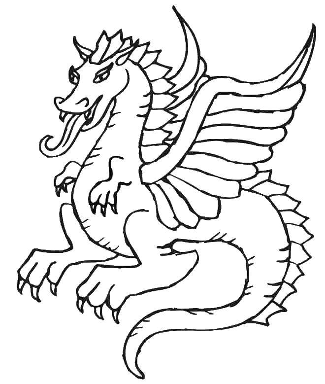 Coloring Dragon with wings. Category Dragons. Tags:  dragon, wings, fangs, paws.