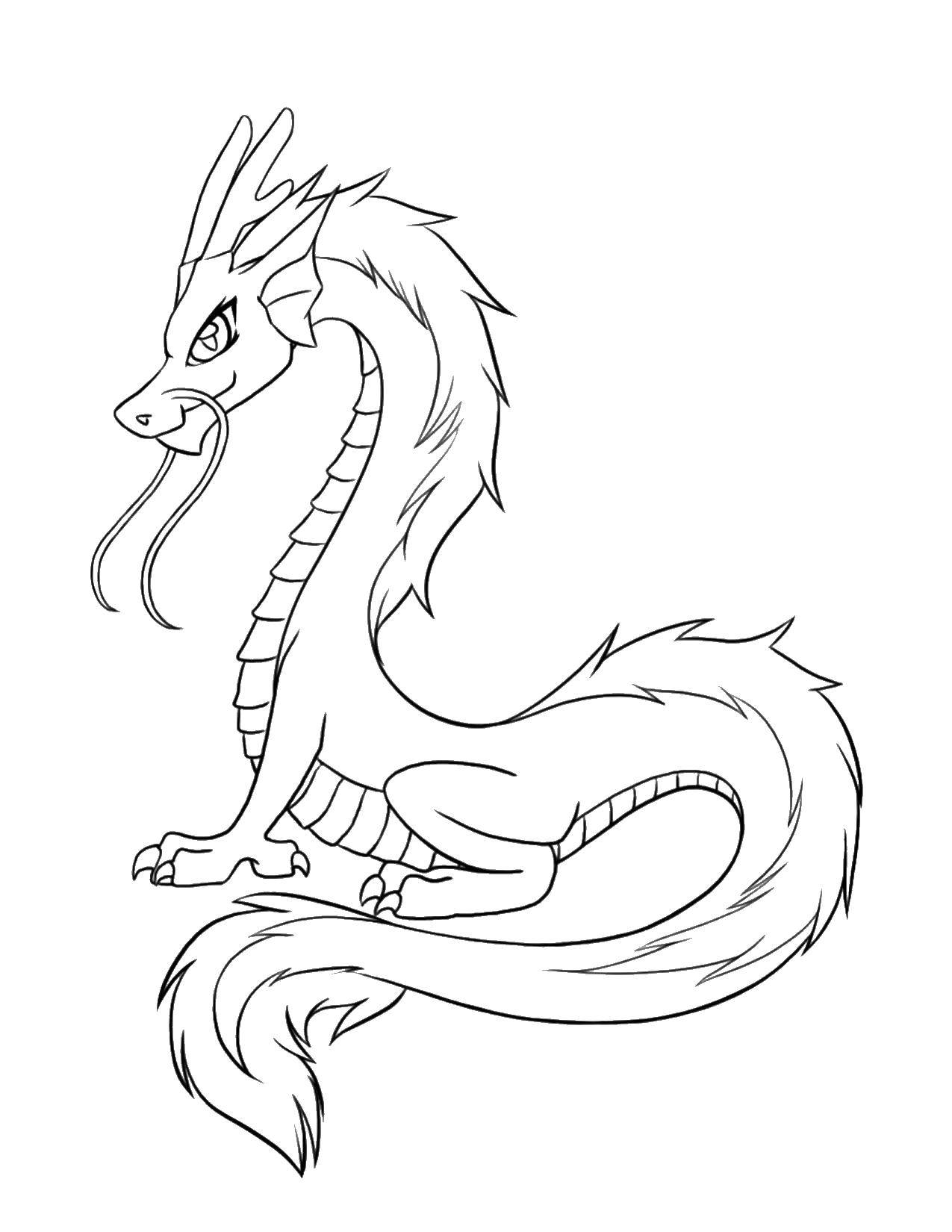 Coloring Chinese dragon.. Category Dragons. Tags:  Dragons.