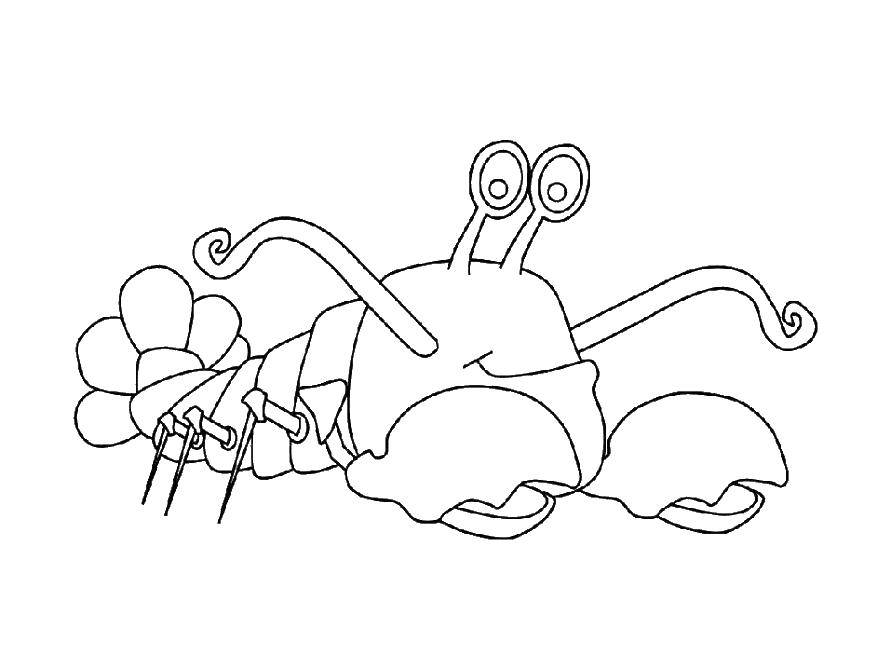 Coloring Crab. Category zoo. Tags:  crab.