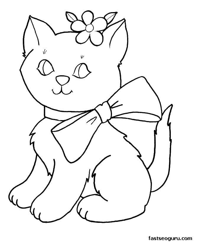 Название: Раскраска Киса с барнтиком. Категория: Для девочек. Теги: Животные, котёнок.