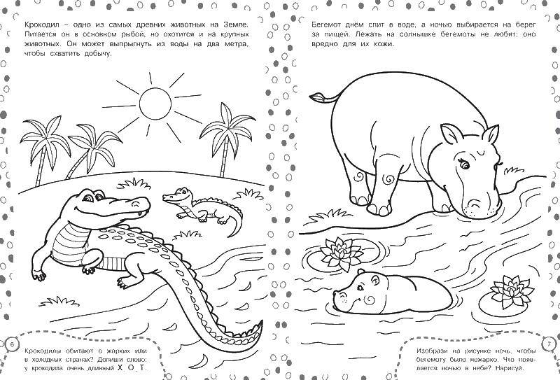 Coloring Hippopotamus and crocodile. Category zoo. Tags:  Zoo, animals.